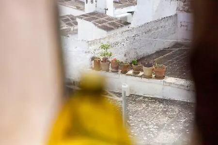 Vista Mozzafiato Sul Mare, Di Lusso - Apartment Ostuni
